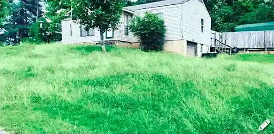 Lawn care service started by vendor 5 on GreenPal platform in Fairfield Connecticut CA