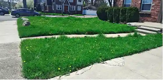 Lawn care service started by vendor 7 on GreenPal platform in Fairfield Connecticut CA