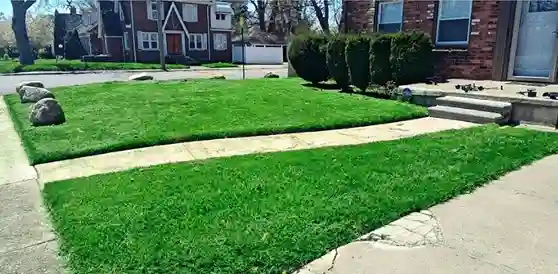 Yard maintenance completed by vendor 7 through GreenPal platform in Fairfield Connecticut CA