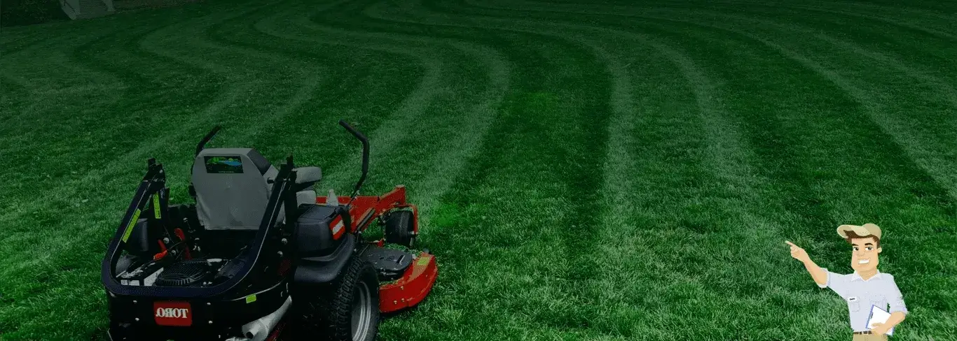 Professional lawn mowing and local yard care services in Fairfield Connecticut, CA